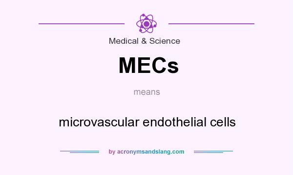 What does MECs mean? It stands for microvascular endothelial cells