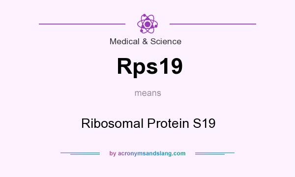 What does Rps19 mean? It stands for Ribosomal Protein S19