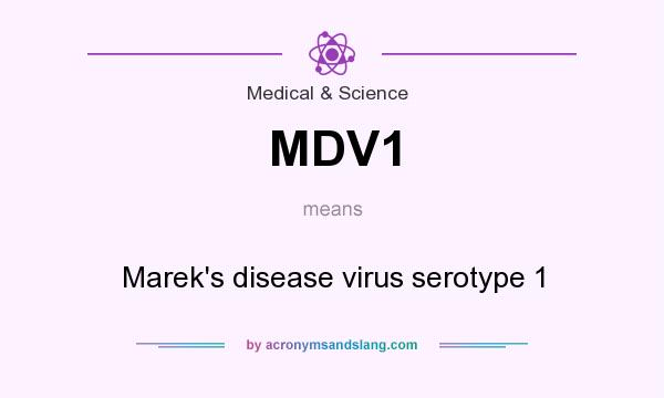 What does MDV1 mean? It stands for Marek`s disease virus serotype 1