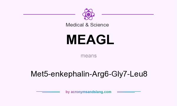 What does MEAGL mean? It stands for Met5-enkephalin-Arg6-Gly7-Leu8