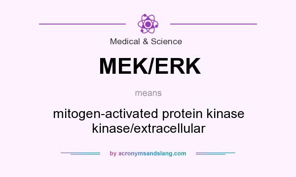 What does MEK/ERK mean? It stands for mitogen-activated protein kinase kinase/extracellular