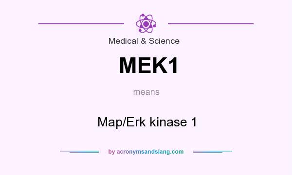 What does MEK1 mean? It stands for Map/Erk kinase 1