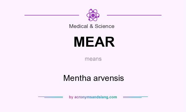 What does MEAR mean? It stands for Mentha arvensis