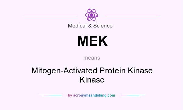 What does MEK mean? It stands for Mitogen-Activated Protein Kinase Kinase