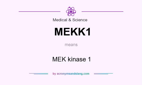 What does MEKK1 mean? It stands for MEK kinase 1