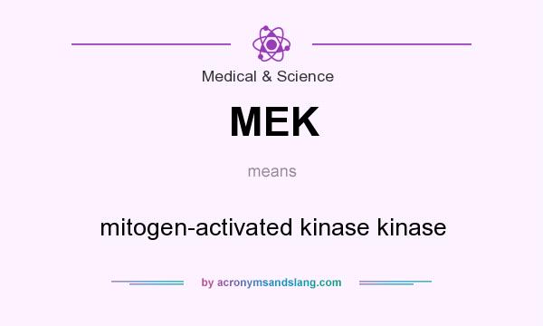 What does MEK mean? It stands for mitogen-activated kinase kinase