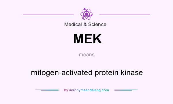 What does MEK mean? It stands for mitogen-activated protein kinase