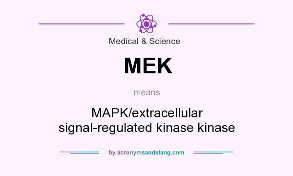 What does MEK mean? It stands for MAPK/extracellular signal-regulated kinase kinase
