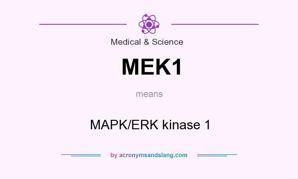 What does MEK1 mean? It stands for MAPK/ERK kinase 1