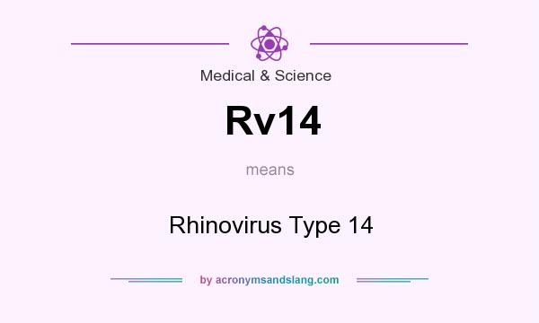 What does Rv14 mean? It stands for Rhinovirus Type 14