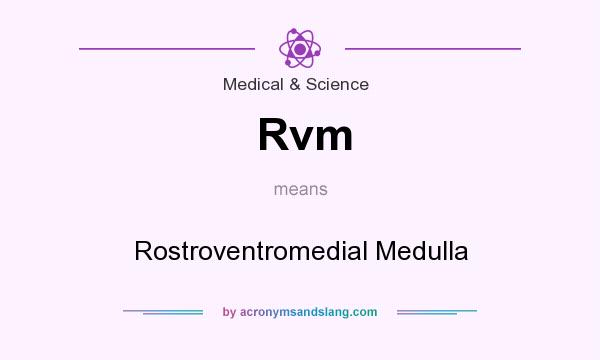 What does Rvm mean? It stands for Rostroventromedial Medulla