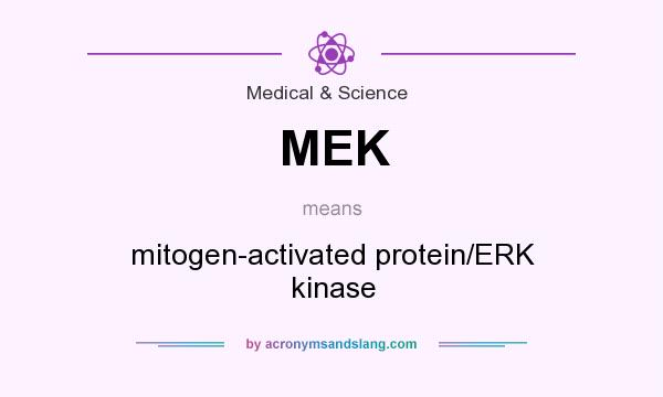 What does MEK mean? It stands for mitogen-activated protein/ERK kinase