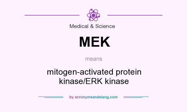 What does MEK mean? It stands for mitogen-activated protein kinase/ERK kinase