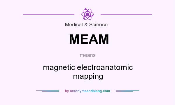 What does MEAM mean? It stands for magnetic electroanatomic mapping