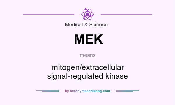 What does MEK mean? It stands for mitogen/extracellular signal-regulated kinase
