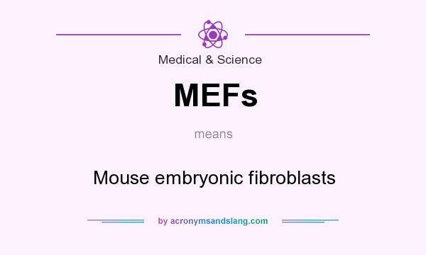 What does MEFs mean? It stands for Mouse embryonic fibroblasts