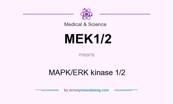 What does MEK1/2 mean? It stands for MAPK/ERK kinase 1/2