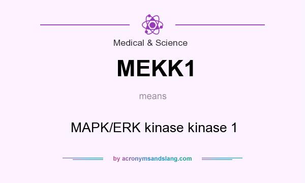 What does MEKK1 mean? It stands for MAPK/ERK kinase kinase 1