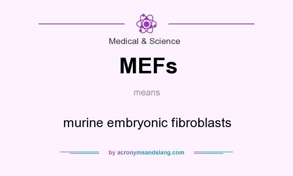 What does MEFs mean? It stands for murine embryonic fibroblasts