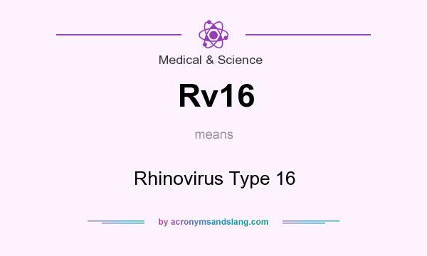 What does Rv16 mean? It stands for Rhinovirus Type 16
