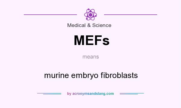 What does MEFs mean? It stands for murine embryo fibroblasts