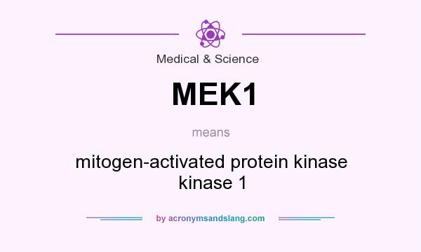 What does MEK1 mean? It stands for mitogen-activated protein kinase kinase 1