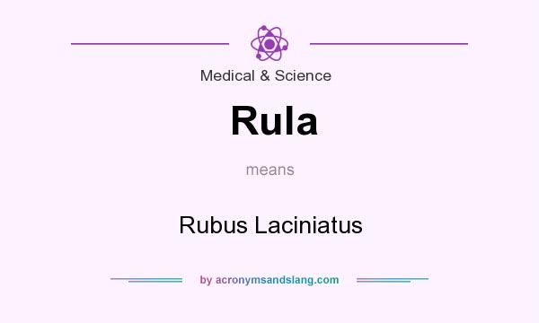 What does Rula mean? It stands for Rubus Laciniatus