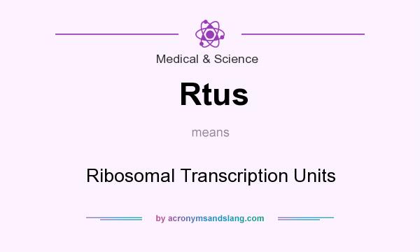 What does Rtus mean? It stands for Ribosomal Transcription Units
