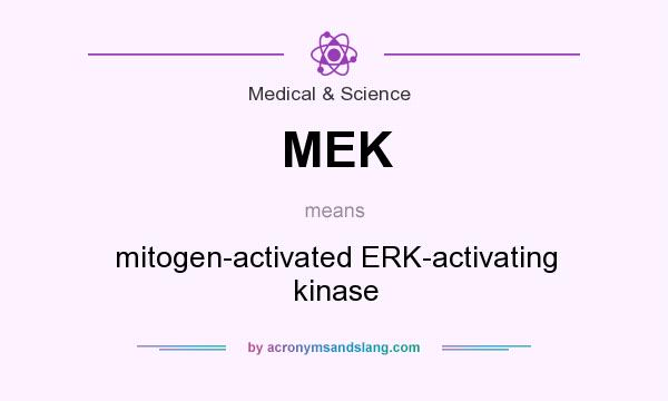 What does MEK mean? It stands for mitogen-activated ERK-activating kinase