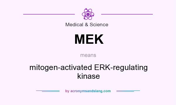 What does MEK mean? It stands for mitogen-activated ERK-regulating kinase