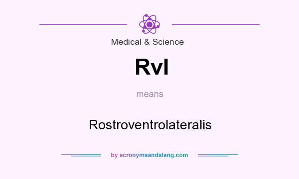What does Rvl mean? It stands for Rostroventrolateralis