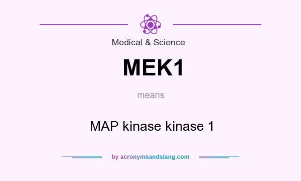 What does MEK1 mean? It stands for MAP kinase kinase 1