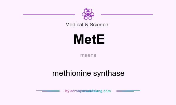 What does MetE mean? It stands for methionine synthase