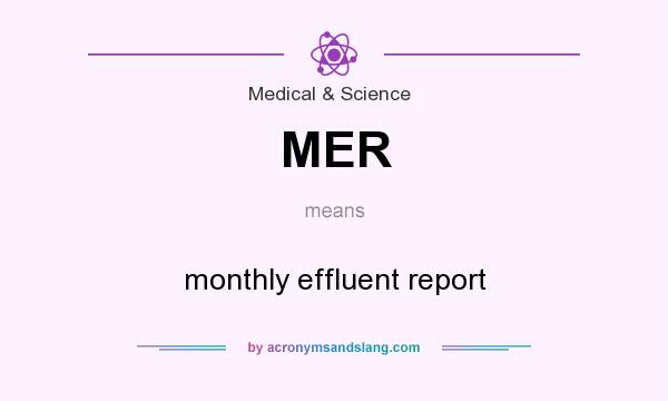 What does MER mean? It stands for monthly effluent report
