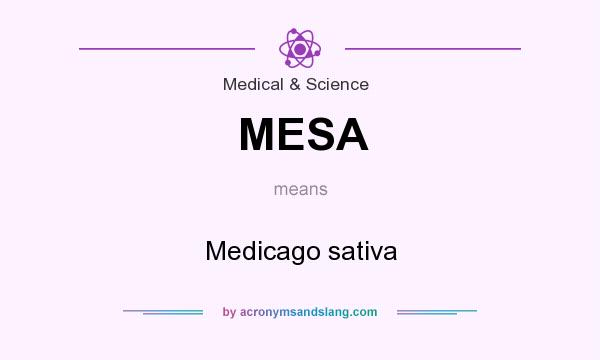 What does MESA mean? It stands for Medicago sativa