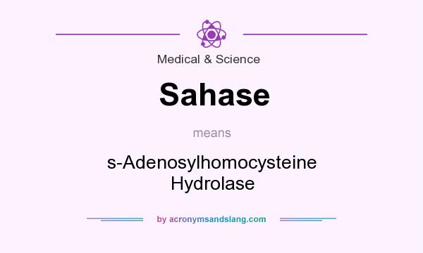 What does Sahase mean? It stands for s-Adenosylhomocysteine Hydrolase