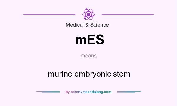 What does mES mean? It stands for murine embryonic stem
