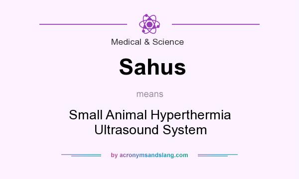 What does Sahus mean? It stands for Small Animal Hyperthermia Ultrasound System