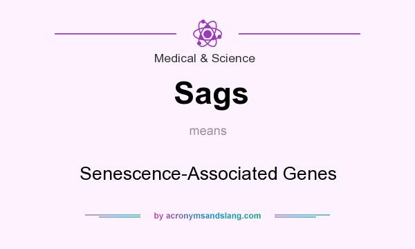What does Sags mean? It stands for Senescence-Associated Genes
