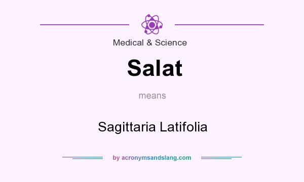 What does Salat mean? It stands for Sagittaria Latifolia