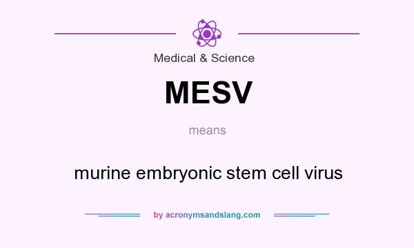 What does MESV mean? It stands for murine embryonic stem cell virus