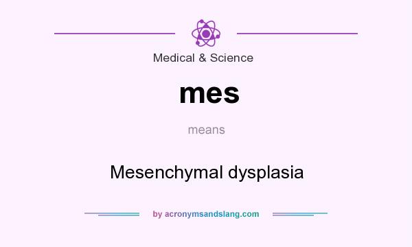 What does mes mean? It stands for Mesenchymal dysplasia
