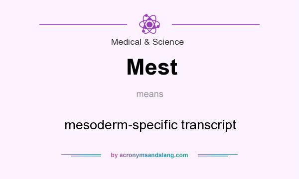 What does Mest mean? It stands for mesoderm-specific transcript