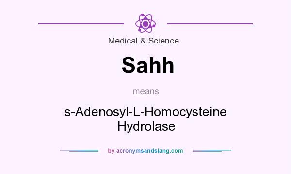 What does Sahh mean? It stands for s-Adenosyl-L-Homocysteine Hydrolase