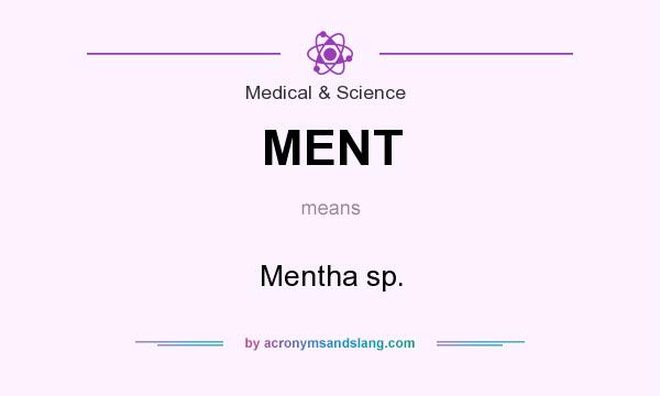 What does MENT mean? It stands for Mentha sp.