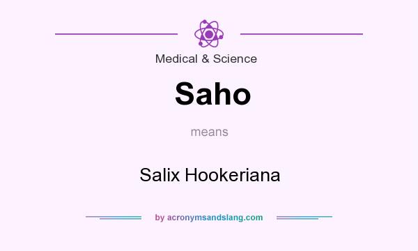 What does Saho mean? It stands for Salix Hookeriana