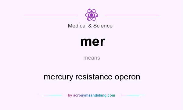 What does mer mean? It stands for mercury resistance operon
