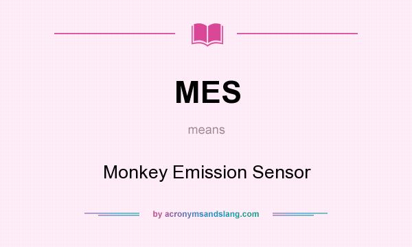 What does MES mean? It stands for Monkey Emission Sensor