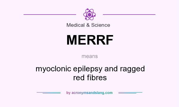 What does MERRF mean? It stands for myoclonic epilepsy and ragged red fibres
