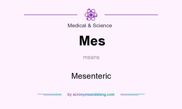 What does Mes mean? It stands for Mesenteric
